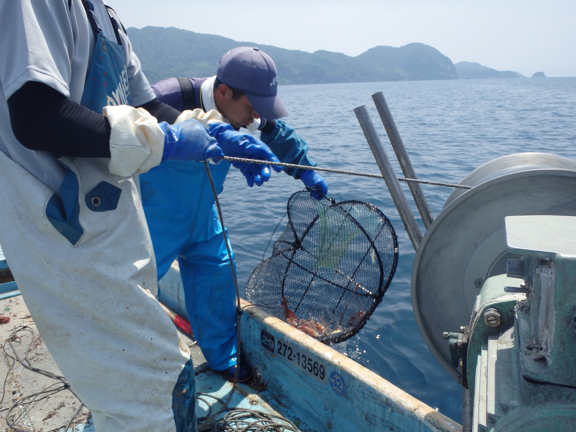 沿岸自営漁業に取り組む新規就業者