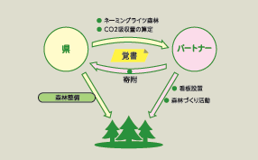 森林再生パートナー制度の仕組み(1)