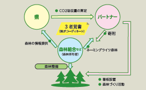 森林再生パートナー制度の仕組み(2)