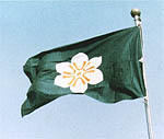 佐賀県の県旗