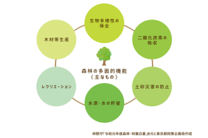 図：森林の多面的機能（主なもの）