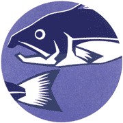 県の魚「南部さけ」イメージ